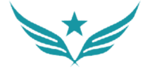 wingwoman-logo