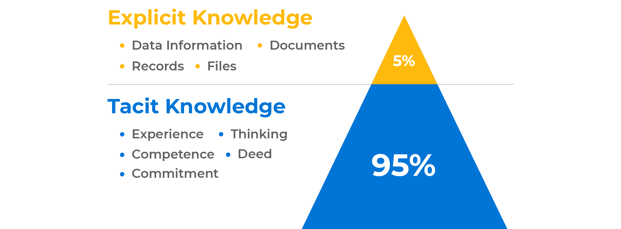 What is Tacit Knowledge?